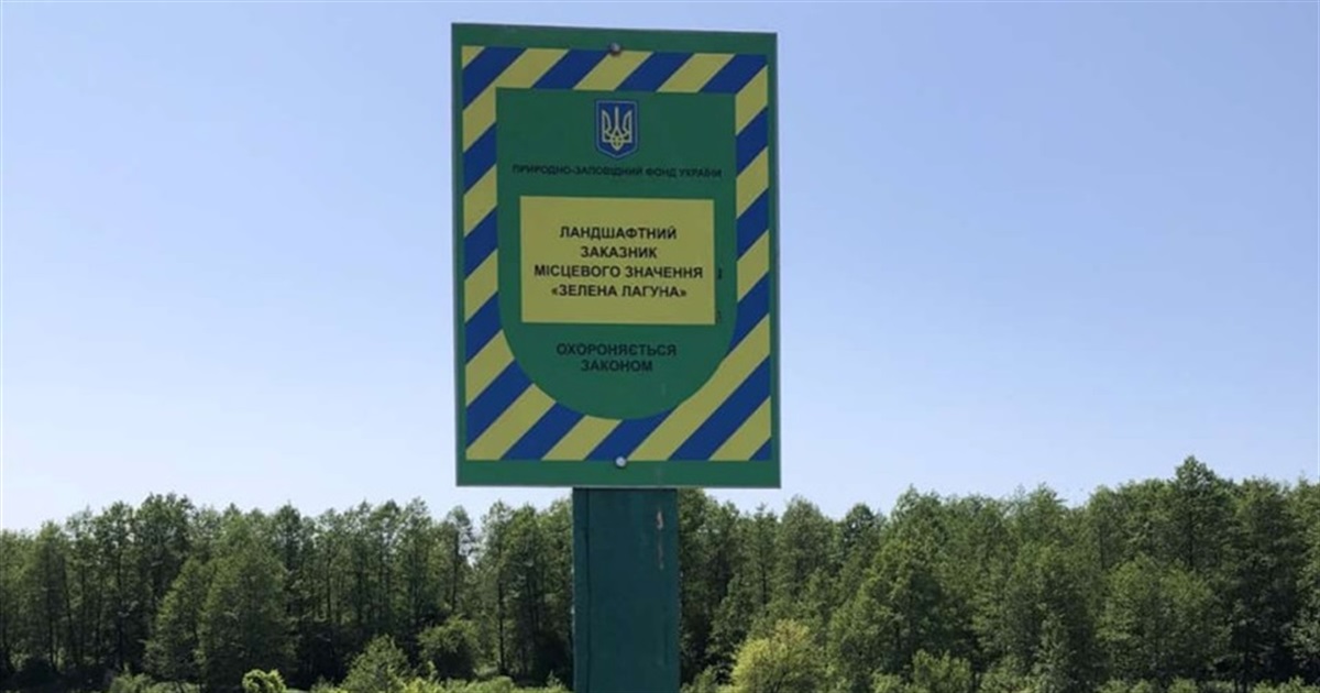 Шість мільйонів гривень збитків: на Звягельщині у заказнику незаконно вирубали дерева
