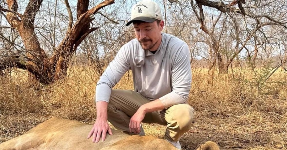 Скандал з MrBeast. Чому найпопулярніший блогер ютубу потрапив у гучний скандал через левів з України