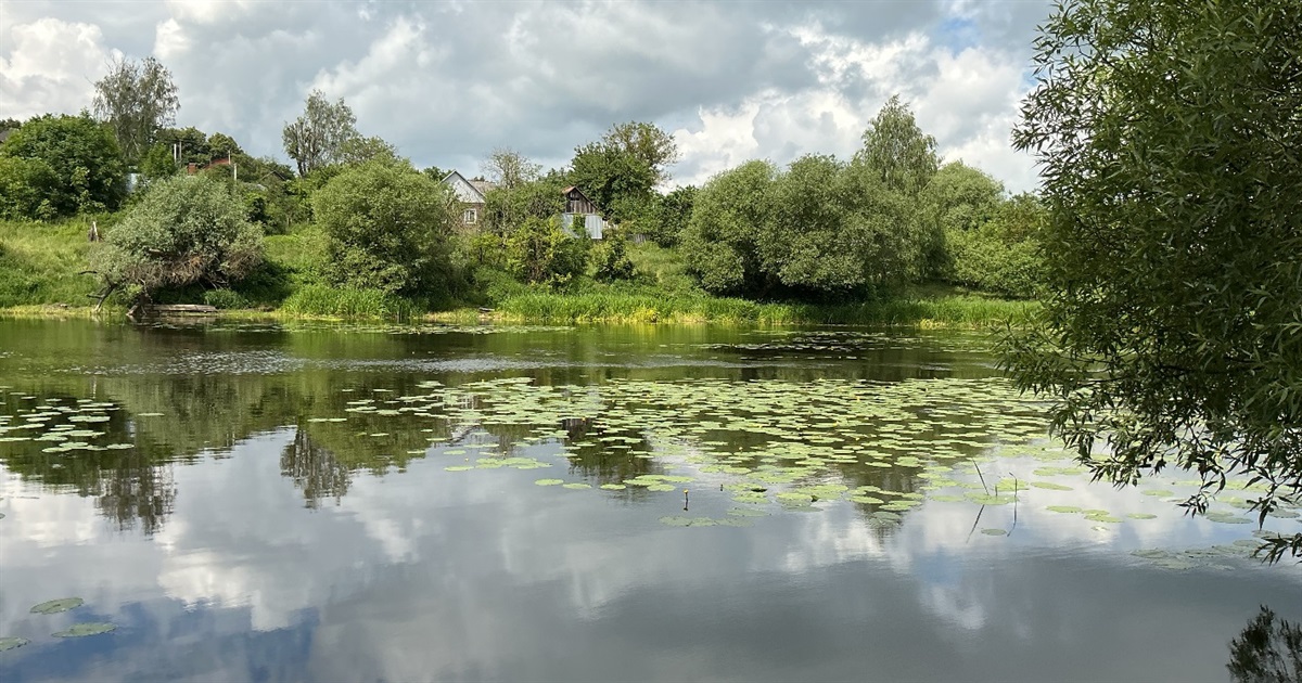 Проби води з пляжу на Случі у Звягелі: результати аналізу