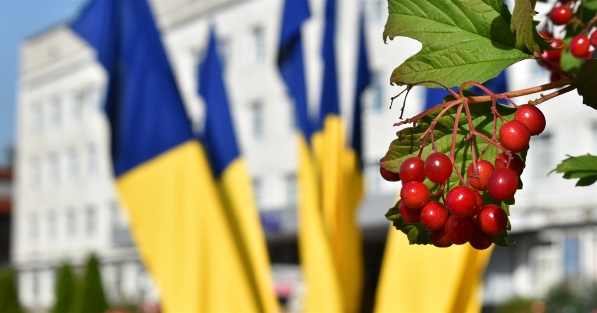 У Звягелі скликають позачергову сесію міськради: які питання планують розглянути