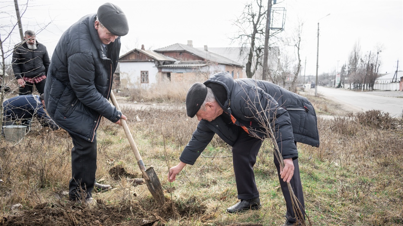 У Жмеринці активно розпочали висадку молодих дерев: фоторепортаж