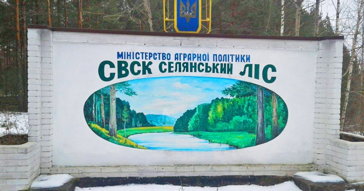 Щоб не розікрали, 10 тисяч гектарів лісу ССВК «Селянський ліс» треба повернути в державну власність