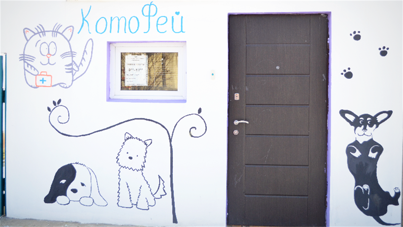 "Котофей" розповідає про все, що ви хотіли б знати про стерилізацію домашніх улюбленців 