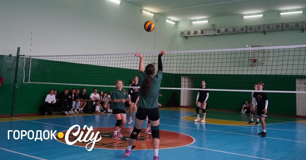 Волейбольний турнір: городоцькі ліцеїсти змагалися за Кубок міського голови