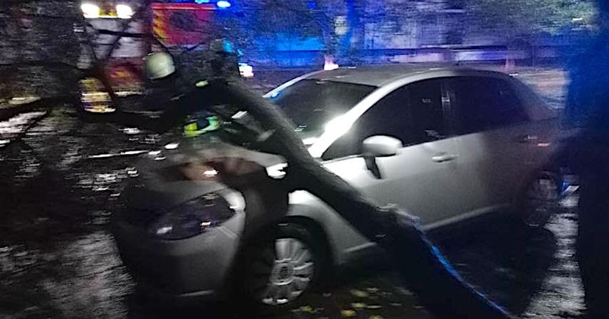 Поваленное штормовым ветром дерево блокировало подъезд в Измаиле и повредило автомобиль