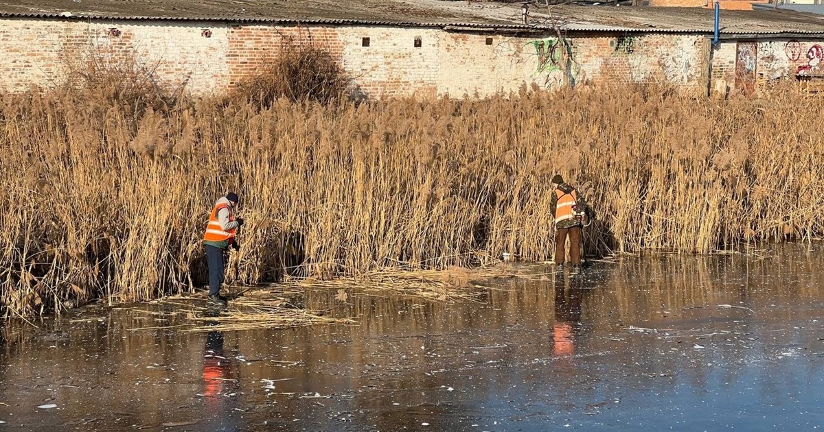 Працівники ВУКГ прибирають береги річки Альта... але не всієї