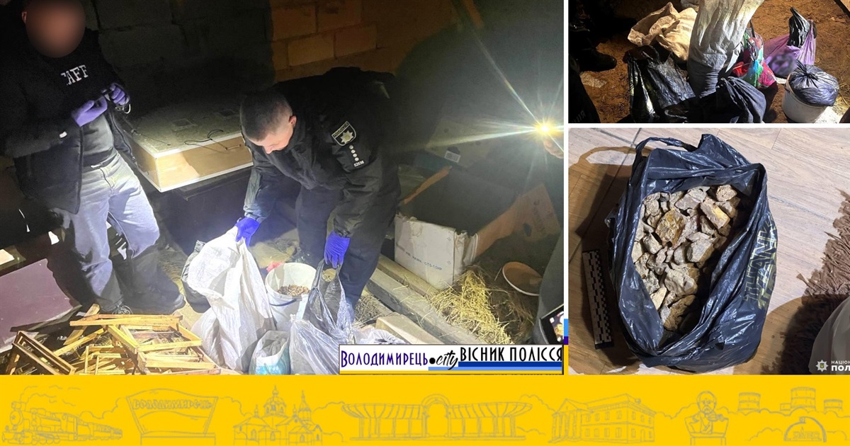 Дубровицькі поліцейські в рафалівчанина знайшли бурштину на пів мільйона гривень