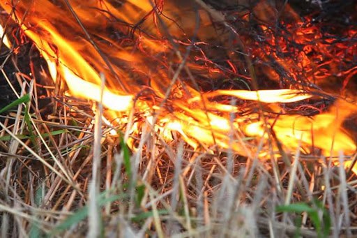 Рятувальники попереджають про відповідальність за спричинення пожеж на відкритих територіях