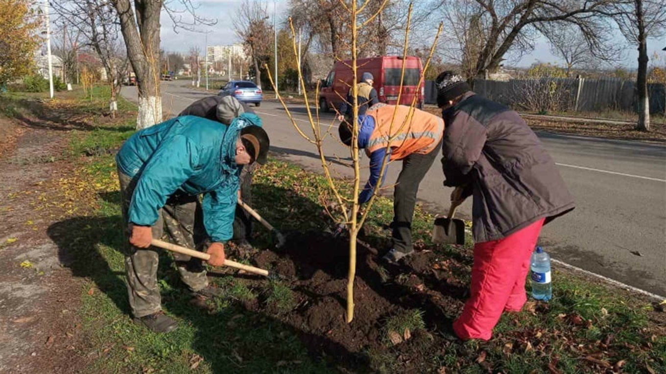 В Попасной продолжают работы по озеленению города