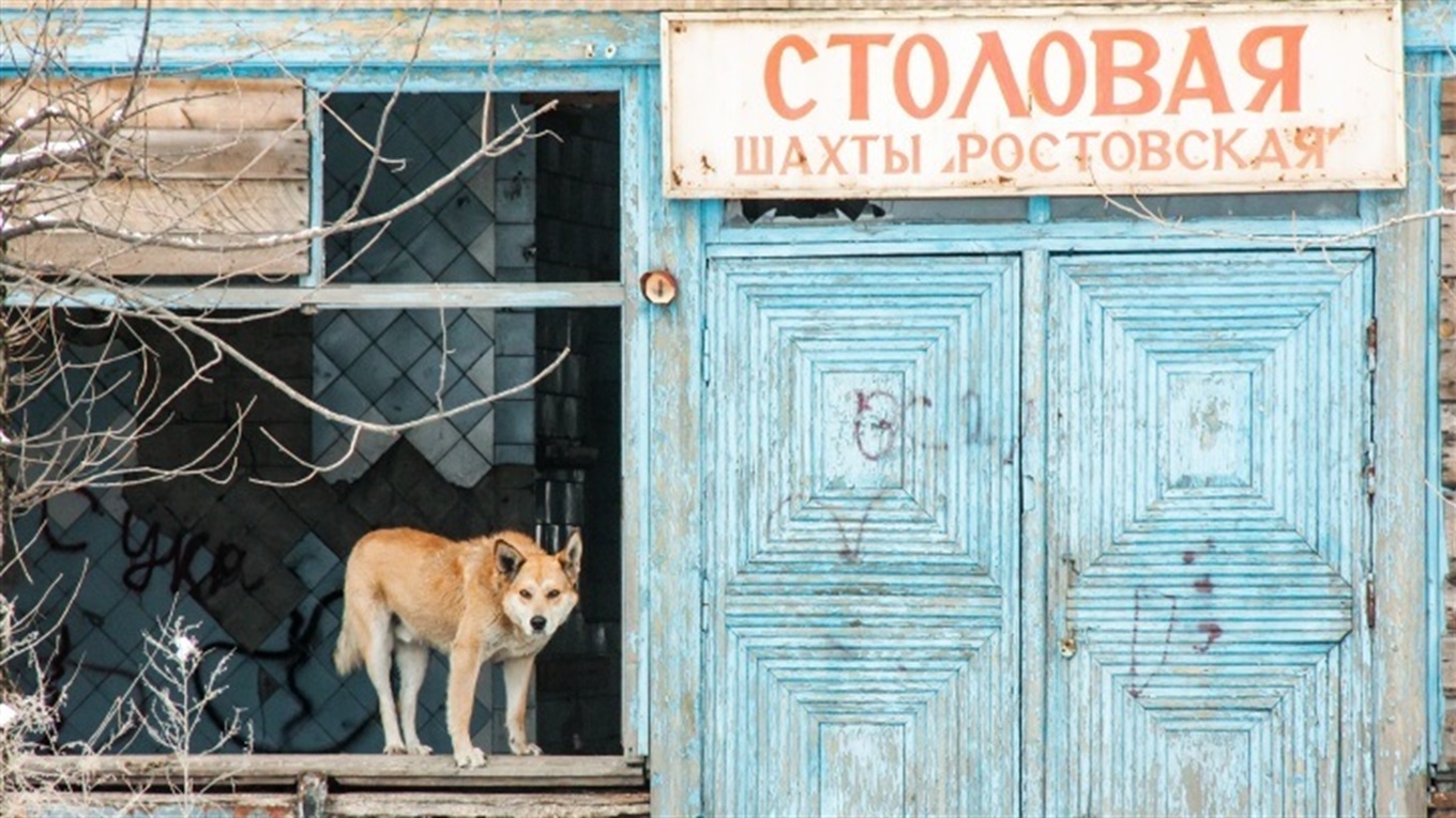 Шахты Восточного Донбасса | Разрушение шахт на Восточном Донбассе –  Свої.City