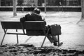 В Северодонецке нет приюта для бездомных. Кто может им помочь