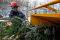 Новый год позади. Смотрите, что с елками делают в Мариуполе, Северодонецке, а что - за границей