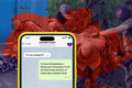 Придивись, чи не твій це сусід? 10 зрадників, які наводили ворожі ракети на міста на сході України