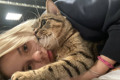 Это настоящая игра со смертью. Мария из Мариуполя публикует в Telegram дневник о блокаде и эвакуации