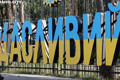 У Гостомелі відбувся благодійний захід "Молодь заради перемоги"