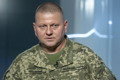 Залужний повісив у кабінеті картину художника зі Слов’янська. Її написав Сергій Сметанкін