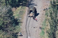 Військові врятували з Покровська цивільного. Він підірвався на міні окупантів — подробиці