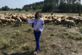 Три ферми на Донеччині, які вас вразять. Дивіться, як вирощують равликів, овець та інших тварин