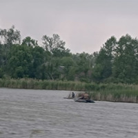 Опинився у пастці посеред ставка: на Сумщині врятували 14-річного хлопця на саморобному плоті