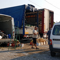 У Золотоноші стартував сезон продажу баштанних