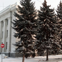 В Україні ускладниться погода - прогноз на вихідні і Новий рік