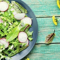 Не бур’ян, а делікатес: їстівні дикороси весни