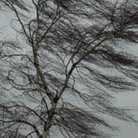 В Ізмаїлі готуються до негоди: на 17 лютого прогнозують погіршення погодних умов