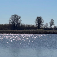 Погода у Старокостянтинові на 13-19 квітня: теплий і сонячний тиждень — коли чекати дощу