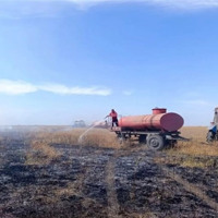 Заповіднику «Асканія-Нова» загрожує екологічна катастрофа