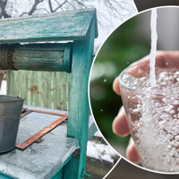 Нітрати і загальні коліформні бактерії: результати перевірки води в 11 громадських криницях Звягеля