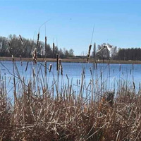 Погода у Старокостянтинові на 6-12 квітня: дощі, похолодання та яким буде Великдень