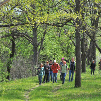 До Міжнародного дня лісу: фотоальбом