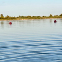 У Старокостянтинові перевірили воду на міському пляжі: результати лабораторних досліджень