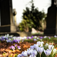 Проводи в Біляївці: що можна, а чого не можна робити в цей день