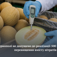 Дині з Ізмаїла не допустили до продажу у Тернополі