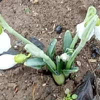 Перекриті дороги і перші проліски - новини з Нової Каховки