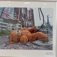 Об’єктив, що фіксує життя: найкращі фотомитці Сумщини презентували свої роботи у Шостці
