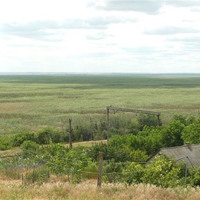Підрив Каховської ГЕС і бойові дії поставили під загрозу десятки видів флори та фауни