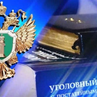 Окупаційниі “суди” винесли вироки двом жінкам з Каховського району