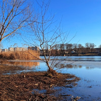 Від повені 1932-го до водопілля 2026-го: гідрологи, краєзнавці та містяни про Південний Буг