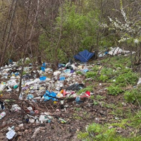 Стихійні звалища у Первомайську: що повідомила міськрада, а які питання залишилися без відповіді