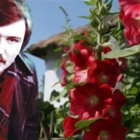 Автор «Червоної рути» приїздив у Нову Каховку з матір’ю (фото, відео)