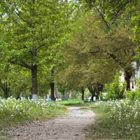 Погода у Старокостянтинові на 11-17 травня: сонце зникне на кілька днів
