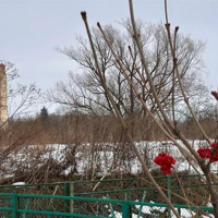 Погода у Старокостянтинові на 3-8 березня: з яким настроєм до нас прийшла весна