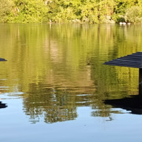 Рівень води в річці Случ у Звягелі зріс удвічі: дощі б’ють рекорди 1949 року