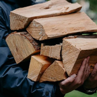 Безкоштовне паливо: жителям Глухівщини дозволили збирати деревину в лісі, але є умови