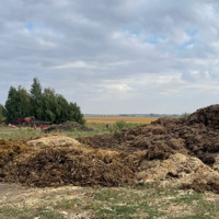 У Миргородському районі судитимуть керівника підприємства за забруднення земель