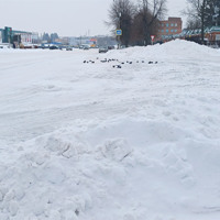 Курс на весну: Золотоноша пережила сніговий удар і готується до відлиги