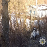 Несподівана знахідка на обʼїзній дорозі в Кременці: що відомо