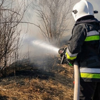 На Кременеччині спалахнула масштабна пожежа в екосистемі